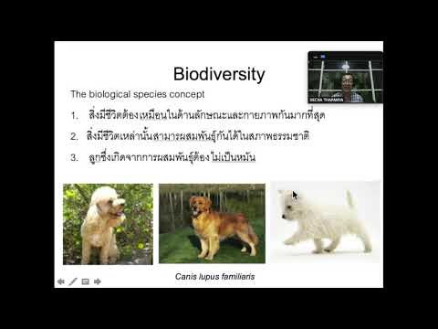 651105  Biodiversity and Equilibrium PART1 (remake)