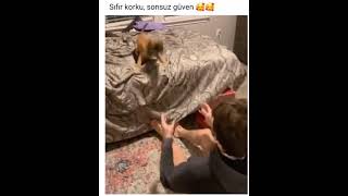 sıfır korku, sonsuz güven Resimi