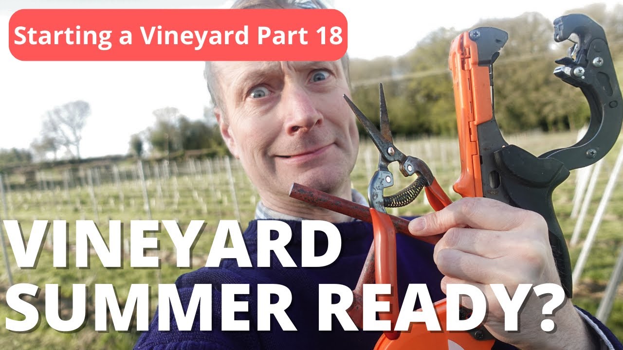 Getting our vineyard ready for Summer - Catch wires, nipping buds, repairing wire TOO MUCH TO DO!!