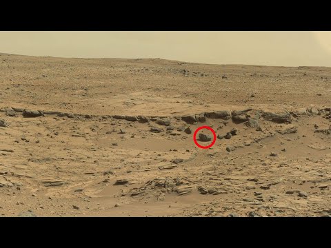 Mars Surface Latest