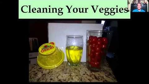 Dr  Michael Explains the Competition