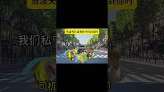 #猫meme #搞笑 #表情包