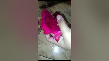 Kadek yuni. 11. kls.XII.MIPA2. Tugas bahasa Inggris Procedure Text hoew to make dragon fruit juice