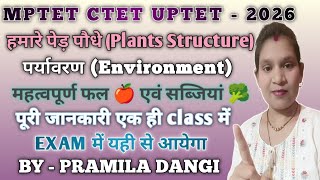👉 “Plants Structure + Fruits 🍎 & Vegetables 🥦 😱 | 1 Class में पूरा Chapter | TET 2026”