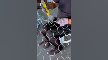Hot-DIP Galvanized Chicken Wire Mesh with Hexagonal Opening for Poultry Farming.  #mesh #fence