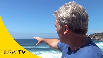 How to survive beach rip currents?
