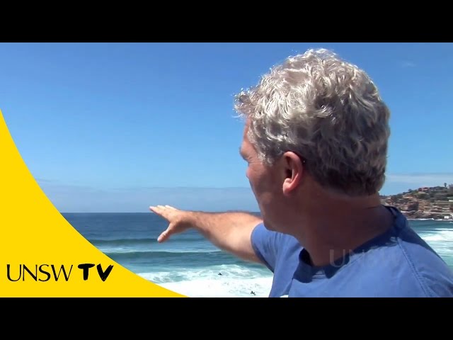 How to survive beach rip currents