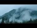The Grey (aka Sniegāju gūstekņi) trailer