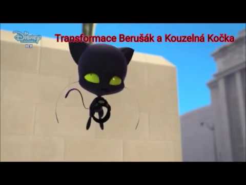 Video: Kouzelné Transformace Krupice