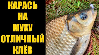видео: МОРМЫШИНГ / ОТОРВАЛСЯ ПО КАРАСЮ НА МУХУ картинка: МОРМЫШИНГ / ОТОРВАЛСЯ ПО КАРАСЮ НА МУХУ