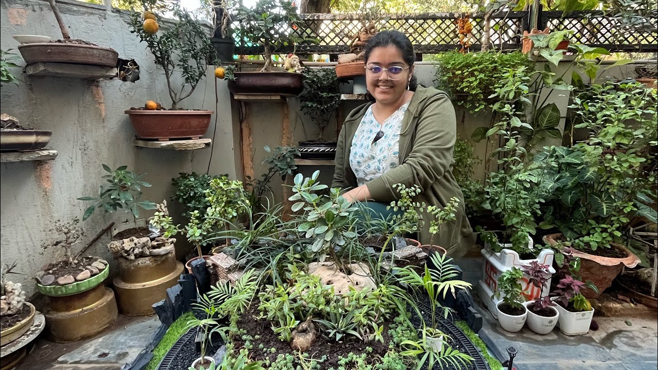 अमिताभ तिवारी जी की कला आपको मोहित कर लेगी 😱👌Creative Gardening Ideas 🪴 Garden Tour EP-34