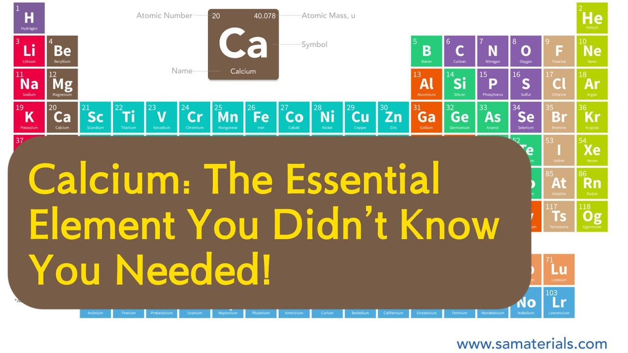 Calcium: The Essential Element - YouTube