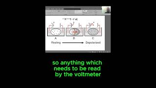 So how EXACTLY is ECG formed? Starting from scratch! Part-1 #mbbs #short #shortvideo