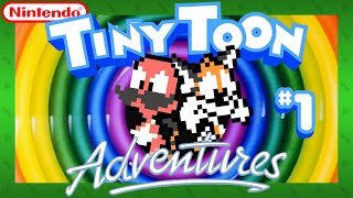 HERE'S HAMTON AND PLUCKY - Tiny Toon Adventures (NES): Part 1