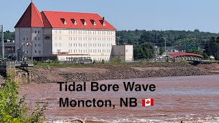 Tidal Bore in Moncton New Brunswick Canada - up to 1m high wave happen twice a day