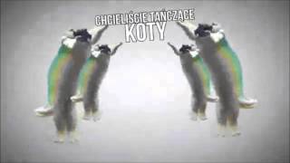 TAŃCZĄCE KOTY