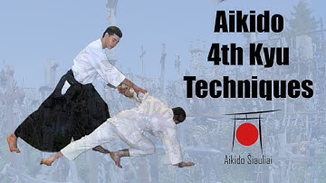 Aikido Techniques / Shomen Uchi Nikyo / 4th Kyu
