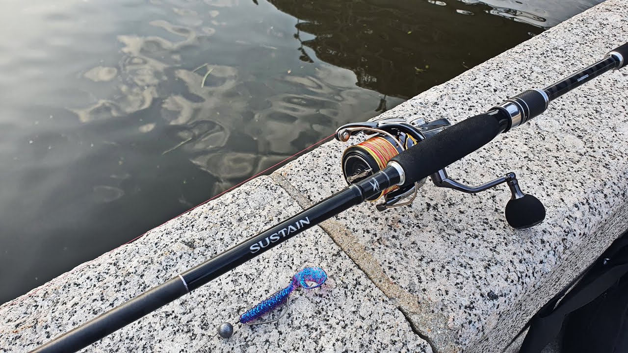 Shimano Sustain AX78M