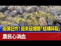 雨彈狂炸！雨來菇爆開「結構碎裂」 農民心淌血