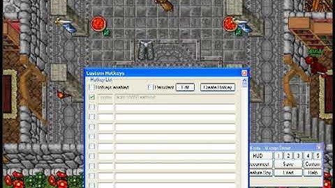 Guia en Español de Elfbot Hotkeys