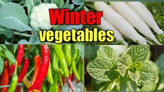 Some vegetables grow over in winter|| sardion ki sabzian ||winter vegetables.