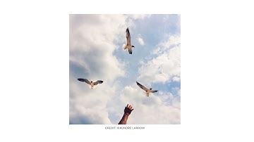 Aundre Larrow - Photographer and Commercial Director