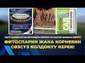 Малина | Кулпунайды ооруулардан алдын ала сакташ керек!