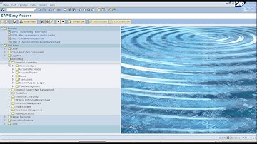 How to configure One Time Vendor in SAP || Live Demo.