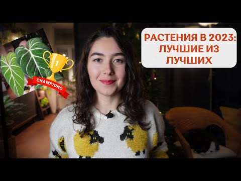 ТОП 10 лучших РАСТЕНИЙ 2023 года | сложный выбор 😎