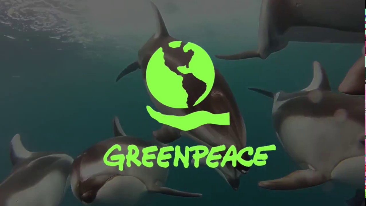 - work for the conscience 💖🌎☮🌟 GREENPEACE . Not Demure & REACTION Visuals ©