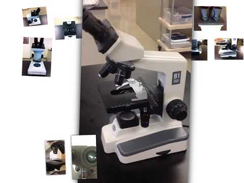 Comparison of Dissecting microscope and compound microscope