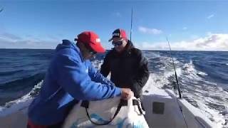 Tuna tips with Lee Rayner