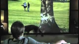 Pub Pour Écran Télé