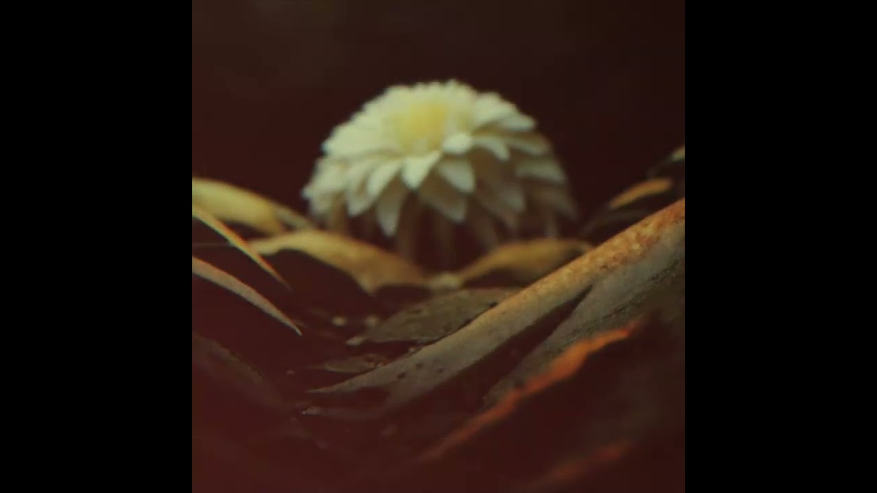 Ümlaut - Subsequent (from the album Musique de Film III)