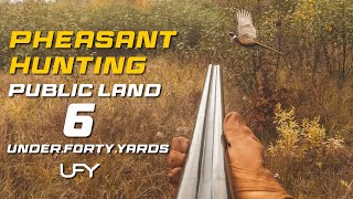 Pheasant Hunting Public Land 6 #pheasanthunting #pheasant