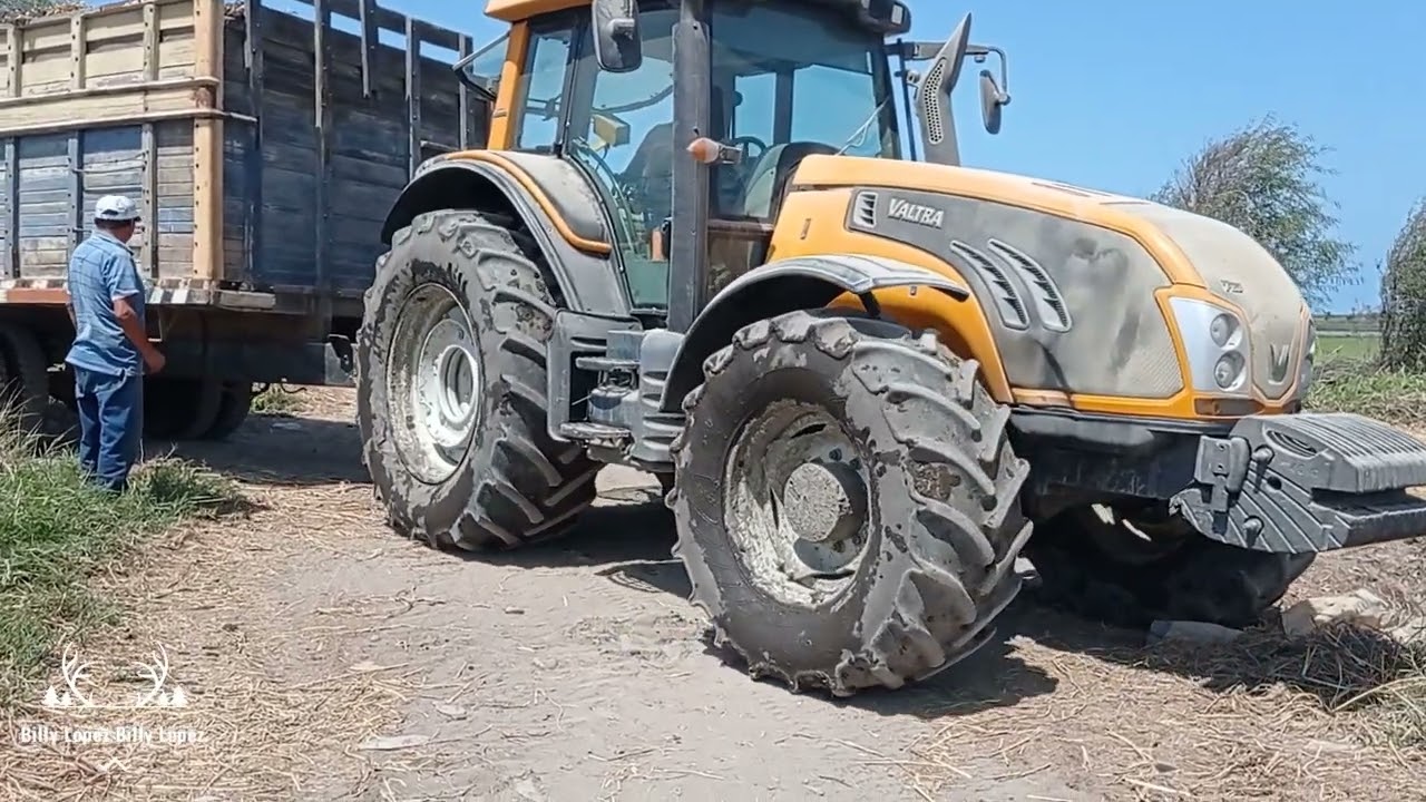 mira la maniobra de reversa a full operador de tractor carreta