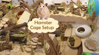 Natural Hamster Cage Setup