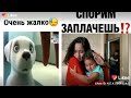 СЫМЫЕ ДУШЕВНЫЕ ВИДЕО В LIKE 2019 Подборка/ТРОГАТЕЛЬНЫЕ ВИДЕО В LIKE &TikTok