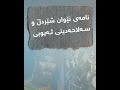 نامەی نێوان شێردڵ و سەلاحەدینی ئەیوبی