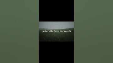 (حتى اذا اتوا على وادِ النمل)|سورة النمل-المنشاوي-| #quran