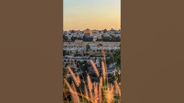 من سورة الإسراء بصوت الشيخ علي جابر رحمه اللّه
