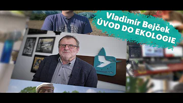 Jak se uvažuje v ekologii společenstev?