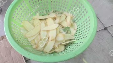 Ginger Slicing Machine/Potato Slicer Machine--Vegetable Processing