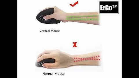 Chuột Công Thái Học ErGO™