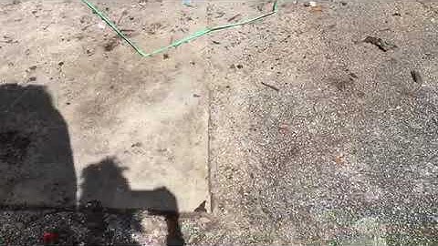 DUMPSTER DIVE #4-ALDI & DOLLAR TREE 😁👏🏽👍🏾💪🏽