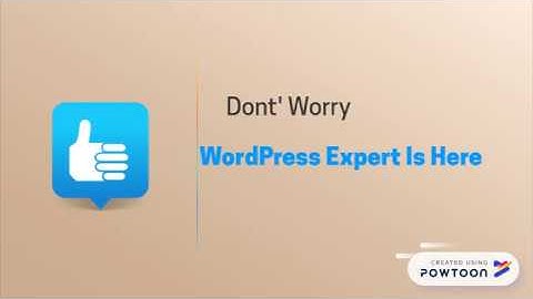 WordPress Customization/Explainer Video