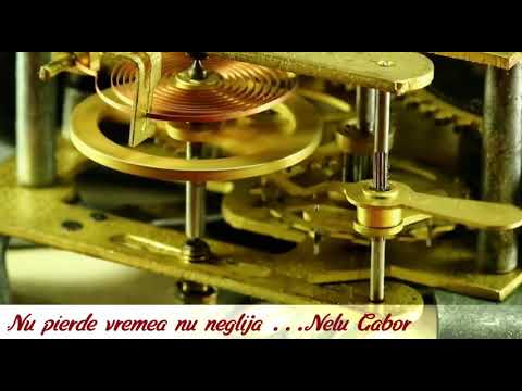 Nu pierde vremea nu neglija....