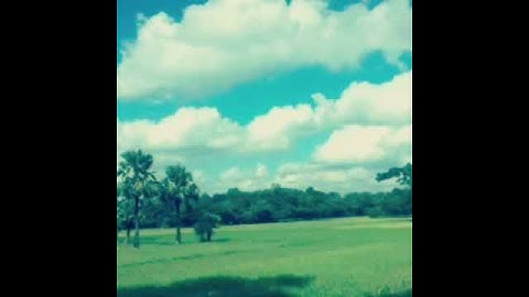 فلا وربك لا يؤمنون حتى يحكموك فيما شجر بينهم تلاوة خاشعة