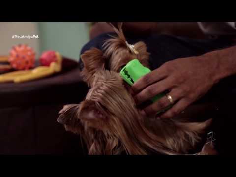 Vídeo: Como Treinar Seu Cachorro Para Comer De Tudo