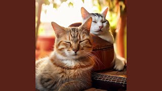 Quiet Cat Rhythm